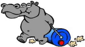 Hippo Water Roller Project logo